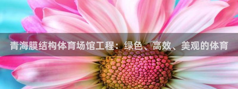 意昂3集团简介：青海膜结构体育场馆工程：绿色、高效、