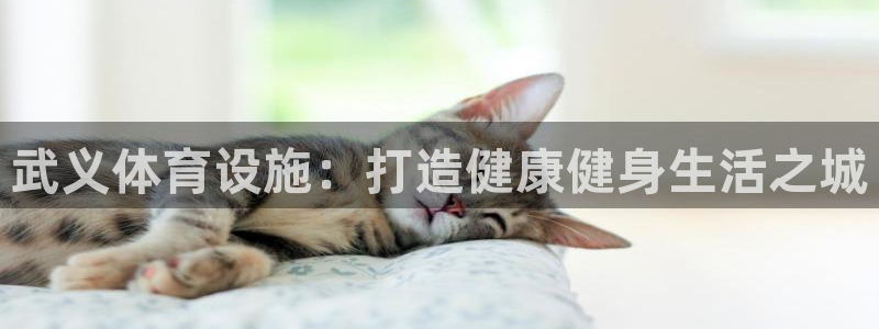 意昂3娱乐是那个系列的台子：武义体育设施：打造健康健