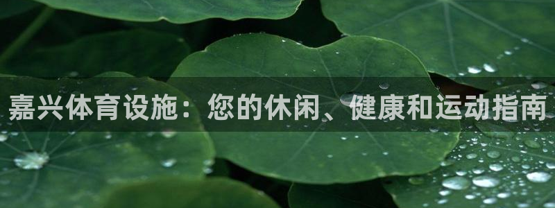 意昂3娱乐下载：嘉兴体育设施：您的休闲、健康和运动指