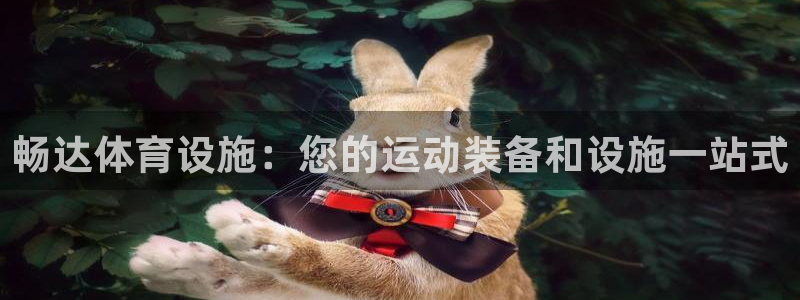 意昂3娱乐首页官网下载：畅达体育设施：您的运动装备和