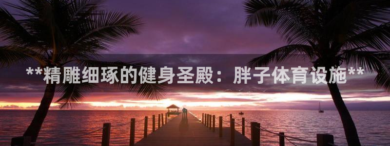 意昂集团官网：**精雕细琢的健身圣殿：胖子体育设施*
