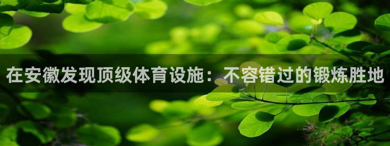 德国意昂3集团：在安徽发现顶级体育设施：不容错过的锻
