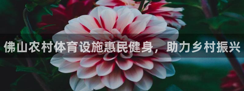 意昂3集团简介：佛山农村体育设施惠民健身，助力乡村振