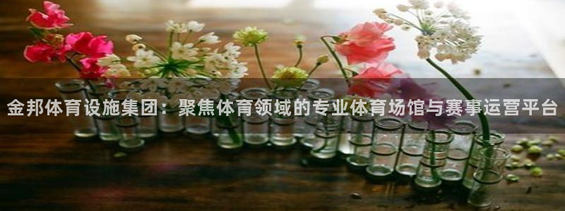 意昂体育3软件
