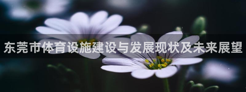 意昂体育3招商电话是多少号码