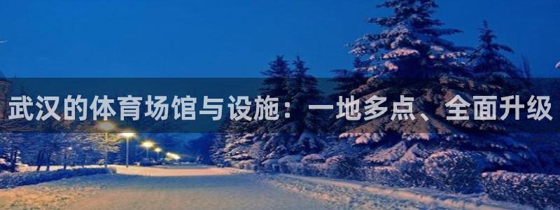 意昂体育3是干嘛的公司