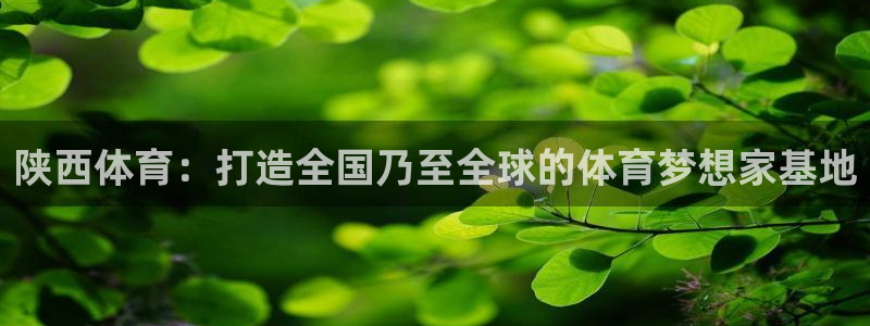 意昂3开户