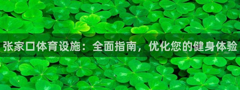 意昂体育3软件：张家口体育设施：全面指南，优化您的健身体验
