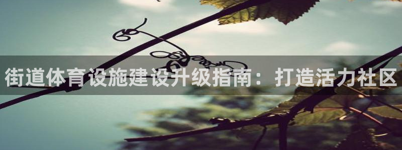 意昂体育3平台注册要钱吗是真的吗：街道体育设施建设升级指南：