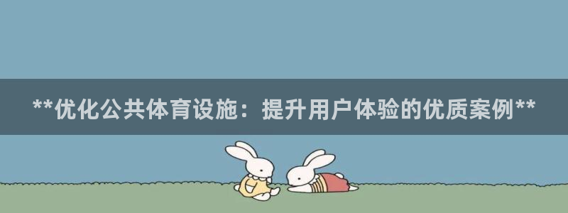 意昂3娱乐40996：**优化公共体育设施：提升用户体验的优