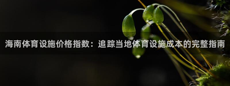 意昂3娱乐首页网站大全：海南体育设施价格指数：追踪当地体育设 