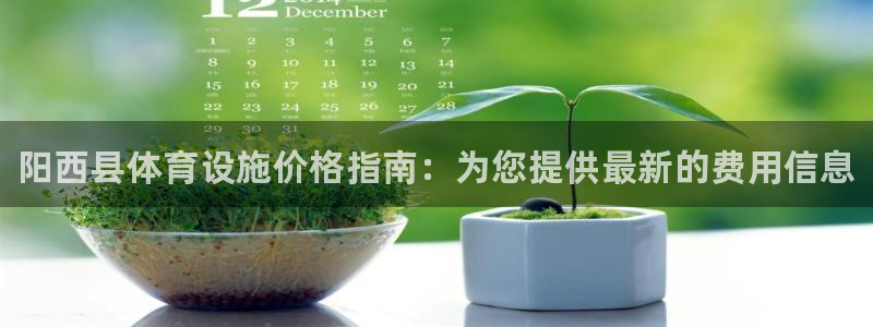 意昂体育3平台注册流程视频：阳西县体育设施价格指南：