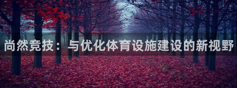 意昂3科技：尚然竞技：与优化体育设施建设的新视野