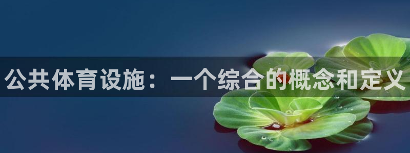 意昂3科技：公共体育设施：一个综合的概念和定义