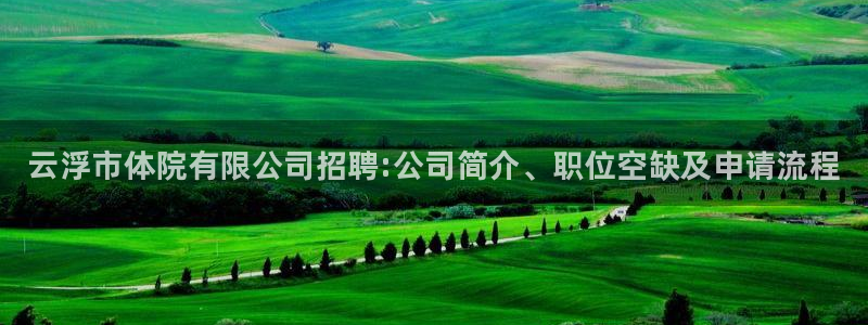 意昂体育3平台是正规平台吗：云浮市体院有限公司招聘:公司简介