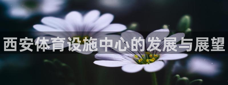 意昂体育3招商电话是多少啊：西安体育设施中心的发展与展望