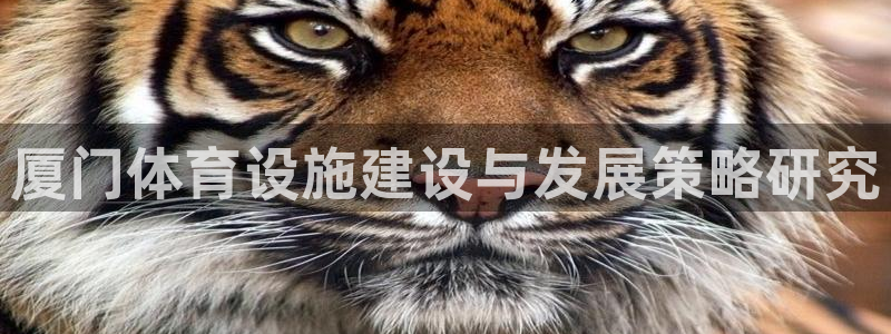 意昂体育3招商电话：厦门体育设施建设与发展策略研究