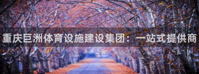 意昂体育3平台注册要钱吗安全吗：重庆巨洲体育设施建设集团：一