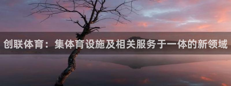 意昂平台体育：创联体育：集体育设施及相关服务于一体的新领域