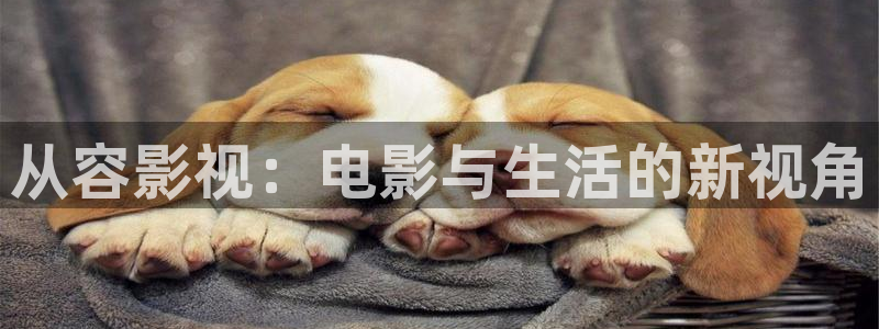 五五影院网站