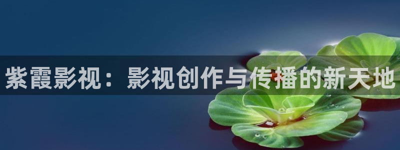 五五电影官网：紫霞影视：影视创作与传播的新天地