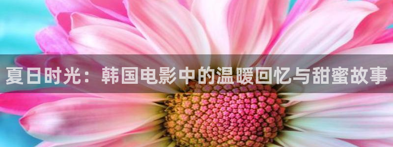 五五影院网站：夏日时光：韩国电影中的温暖回忆与甜蜜故事