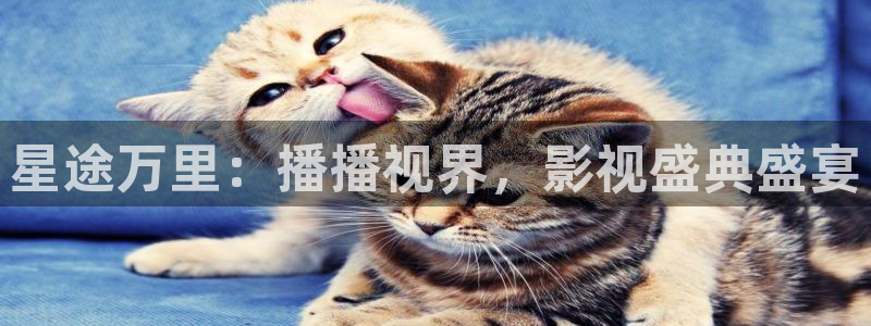 五五影视官方：星途万里：播播视界，影视盛典盛宴