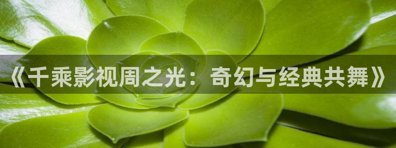 五五影院免费电视剧