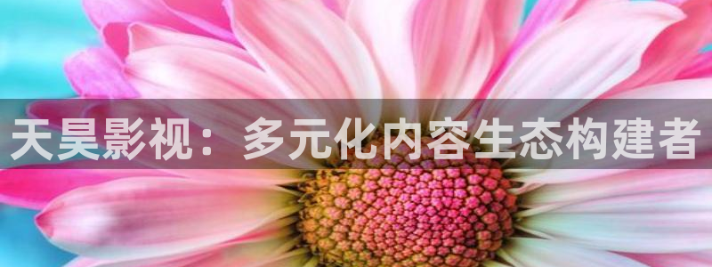 五五影视在线观看最新电影：天昊影视：多元化内容生态构建者