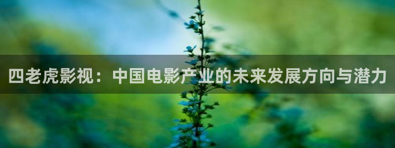 五五影院在线：四老虎影视：中国电影产业的未来发展方向与潜力