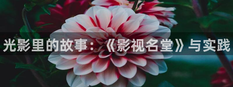 五五影视大全免费观看：光影里的故事：《影视名堂》与实践